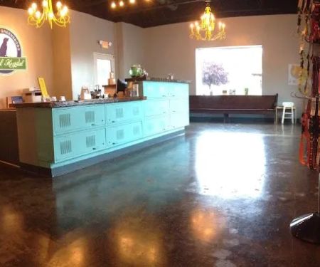Downtown Greensboro Animal Hospital