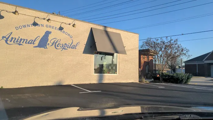 Downtown Greensboro Animal Hospital Picture 6