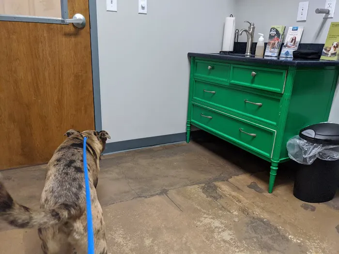 Downtown Greensboro Animal Hospital Picture 5