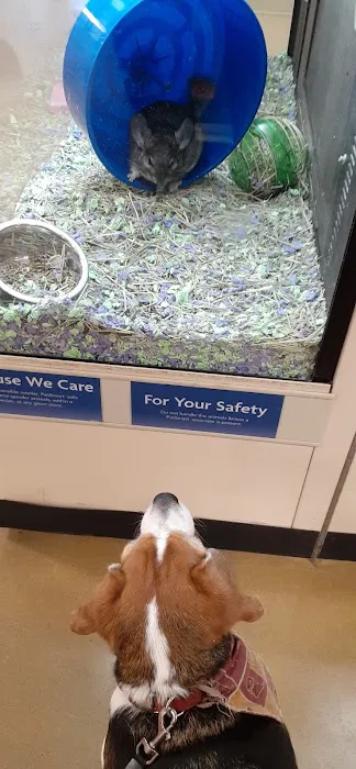 Banfield Pet Hospital Picture 3