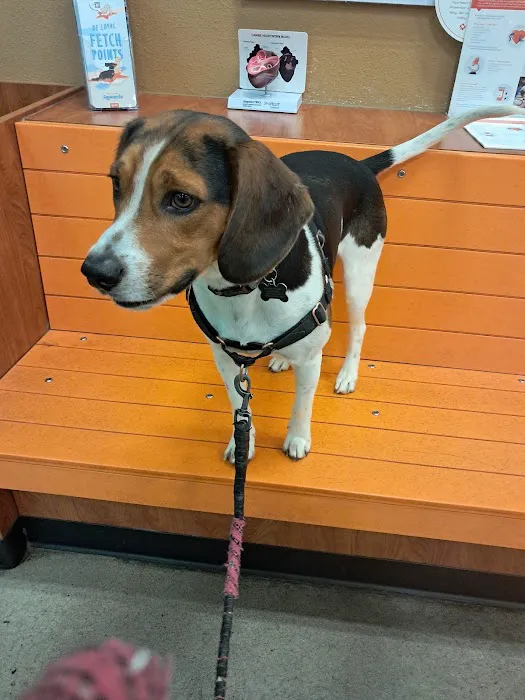 Banfield Pet Hospital Picture 5