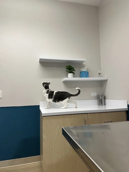 Truss Vet - Veterinary Urgent Care Picture 2