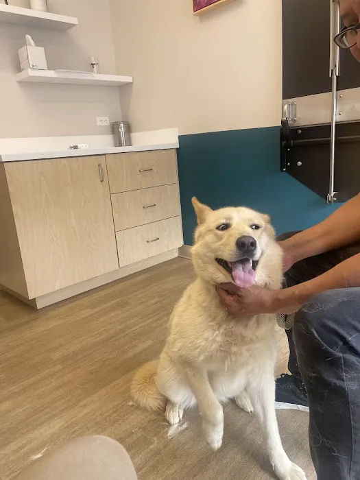 Truss Vet - Veterinary Urgent Care Picture 5