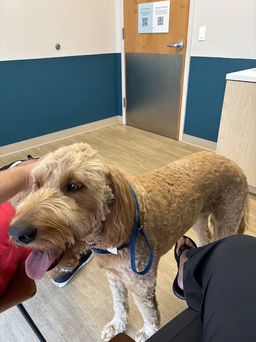 Truss Vet - Veterinary Urgent Care Picture 4
