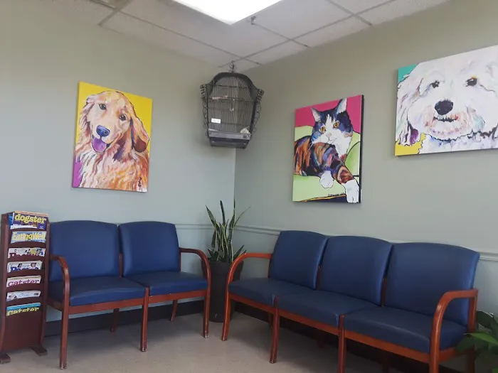 Animal Clinic of Friendly Center Picture 1