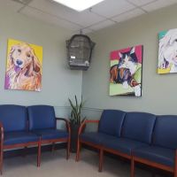Animal Clinic of Friendly Center ico