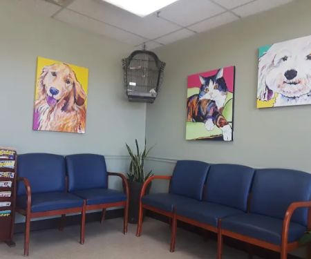 Animal Clinic of Friendly Center