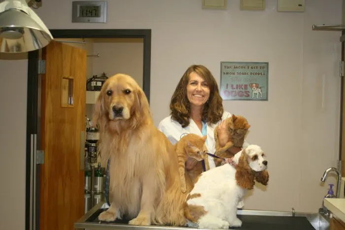 Animal Clinic of Friendly Center Picture 3