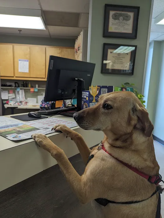 Animal Clinic of Friendly Center Picture 4