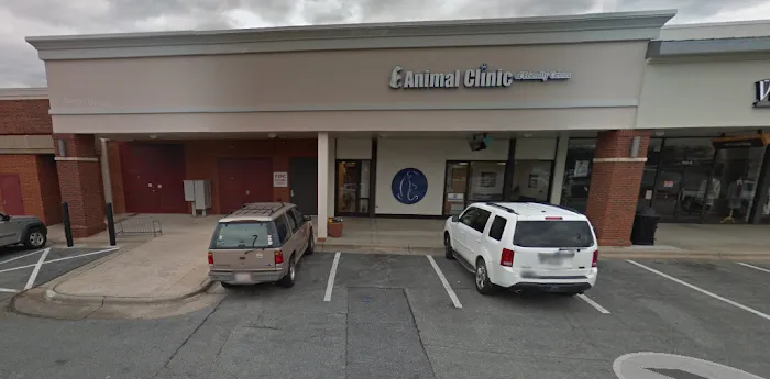 Animal Clinic of Friendly Center Picture 10