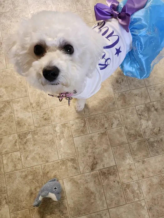 Stoney Creek Veterinary Hospital Picture 6