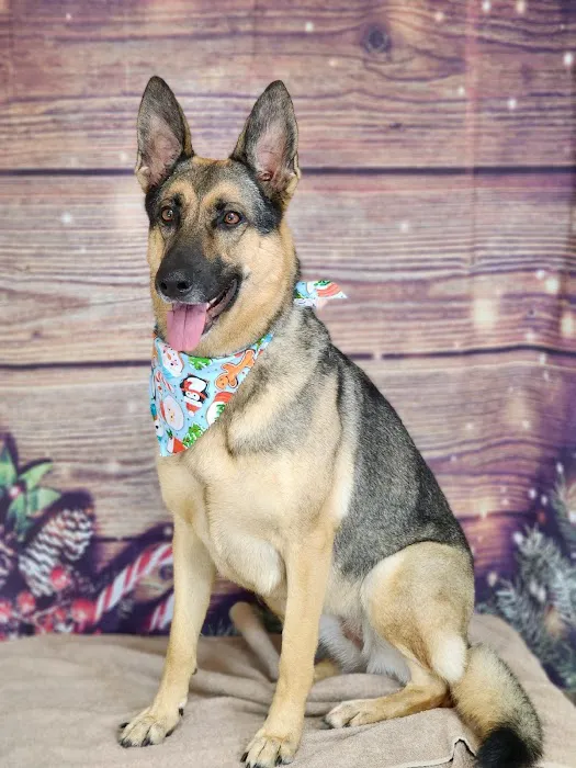 Stoney Creek Veterinary Hospital Picture 2