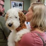 Stoney Creek Veterinary Hospital