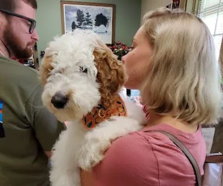 Stoney Creek Veterinary Hospital