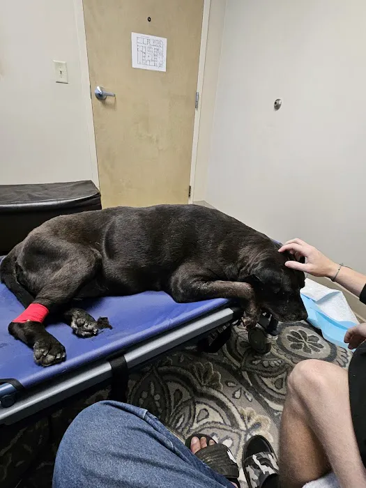 Stoney Creek Veterinary Hospital Picture 7