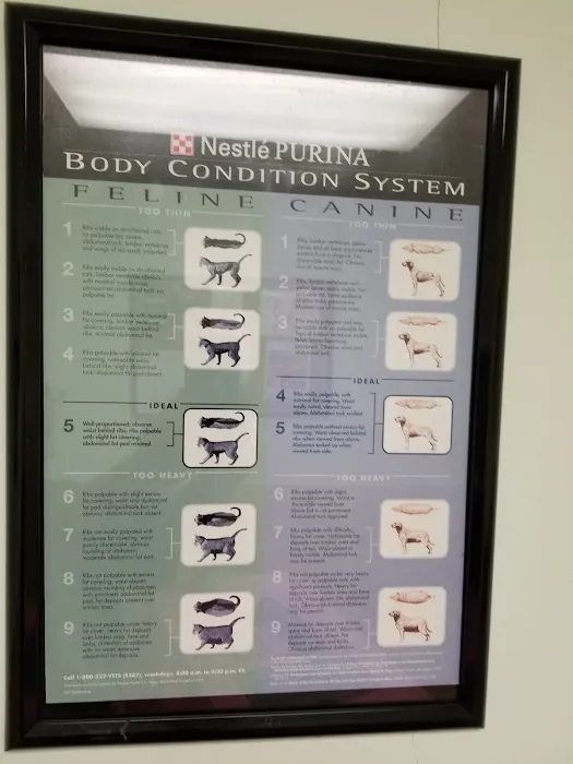 University Animal Hospital of Greensboro PLLC Picture 7