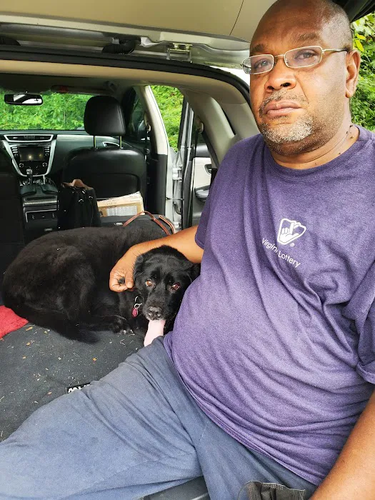 Animal Medical Center of Louisa Picture 2