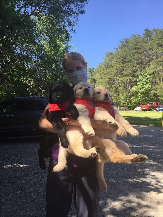 Animal Medical Center of Louisa Picture 8