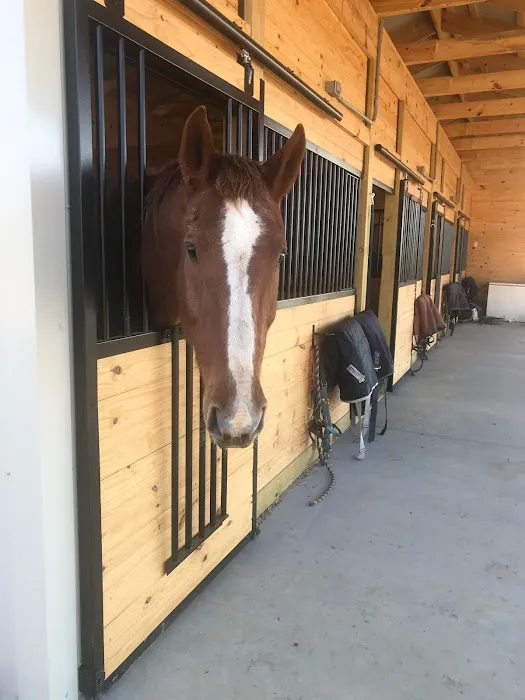 Veterinary Rehabilitation Services of Virginia Picture 1