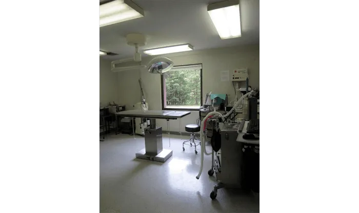 Fork Union Animal Clinic Picture 7
