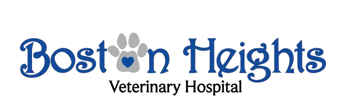 Boston Heights Veterinary Hospital Picture 2