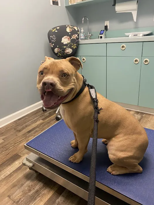 Suburban Veterinary Clinic Picture 7