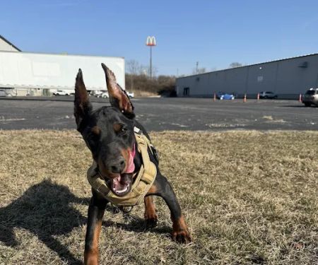 Warrensville Animal Hospital
