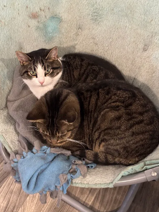 Tinkers Creek Veterinary Clinic Picture 3