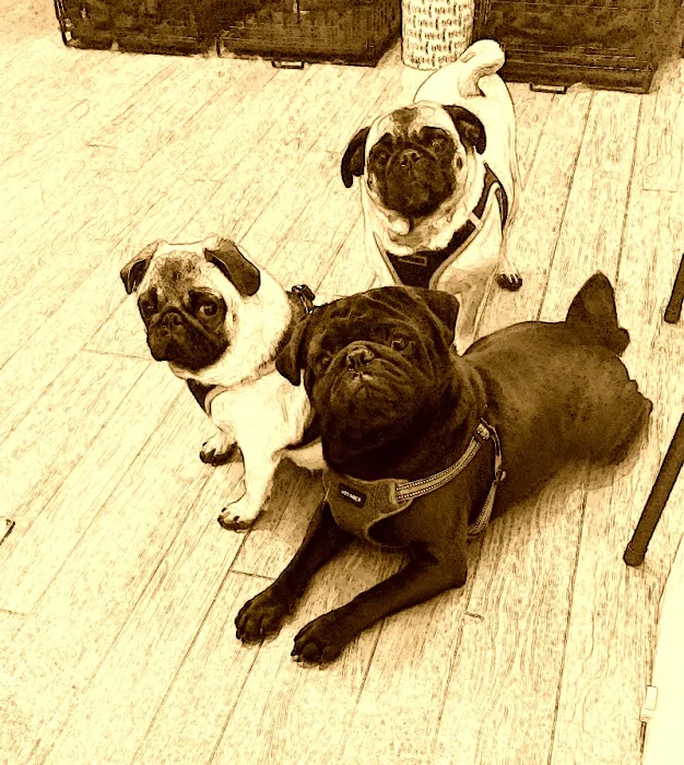 Maple Heights Animal Hospital Picture 10