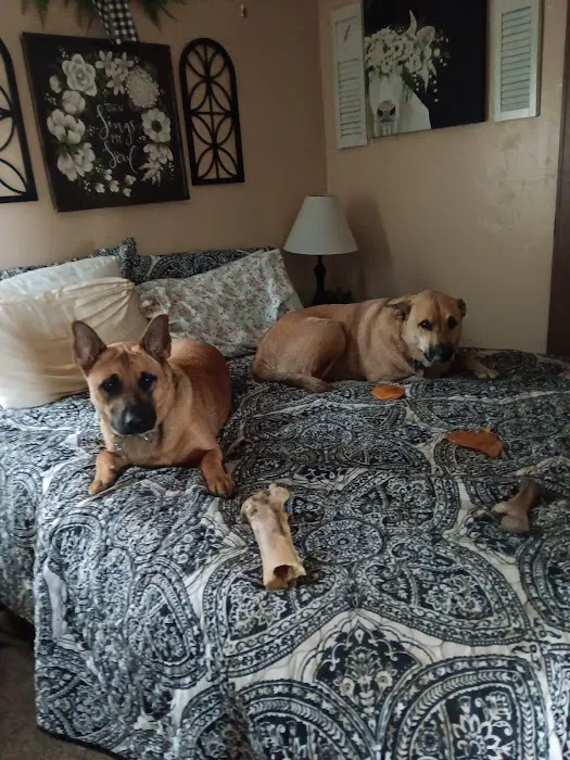 Maple Heights Animal Hospital Picture 8