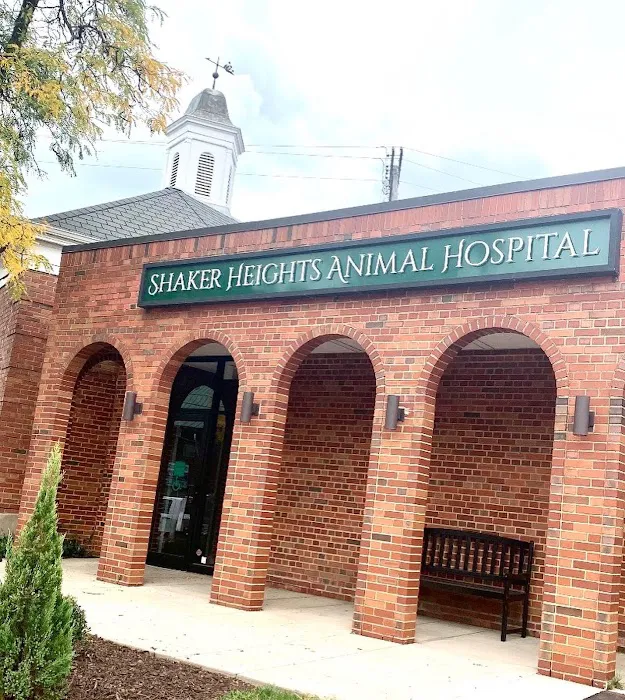 Shaker Heights Animal Hospital Picture 3