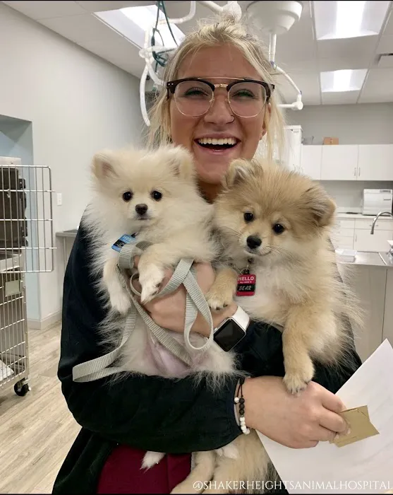 Shaker Heights Animal Hospital Picture 6