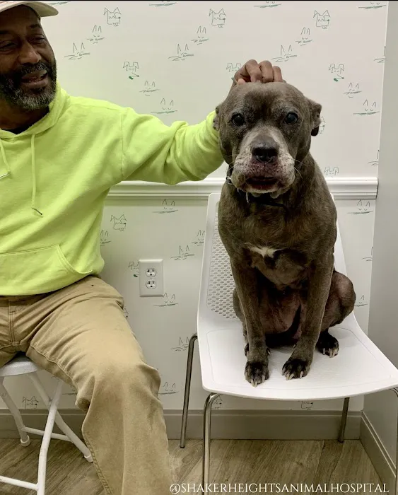 Shaker Heights Animal Hospital Picture 7