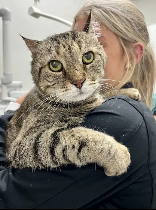 Shaker Heights Animal Hospital Picture 8