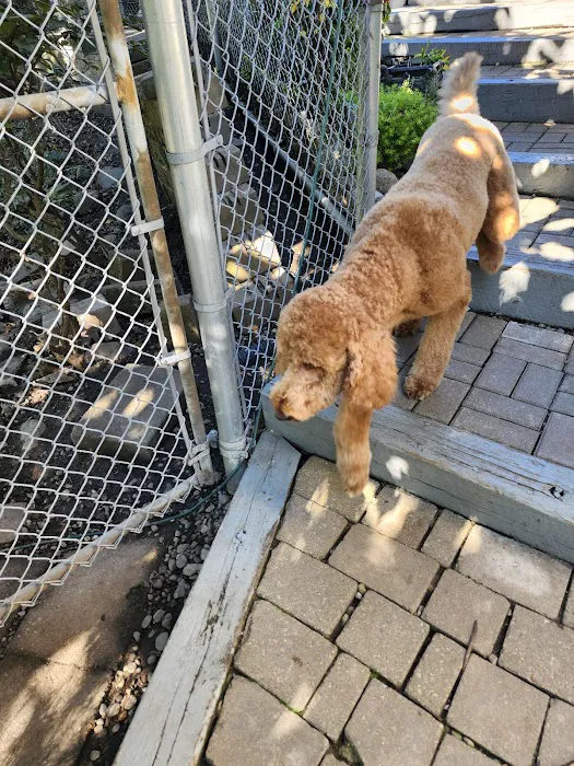 A Suburban Animal Center Picture 1
