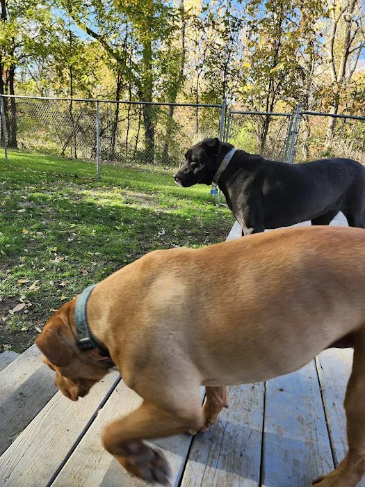 A Suburban Animal Center Picture 3