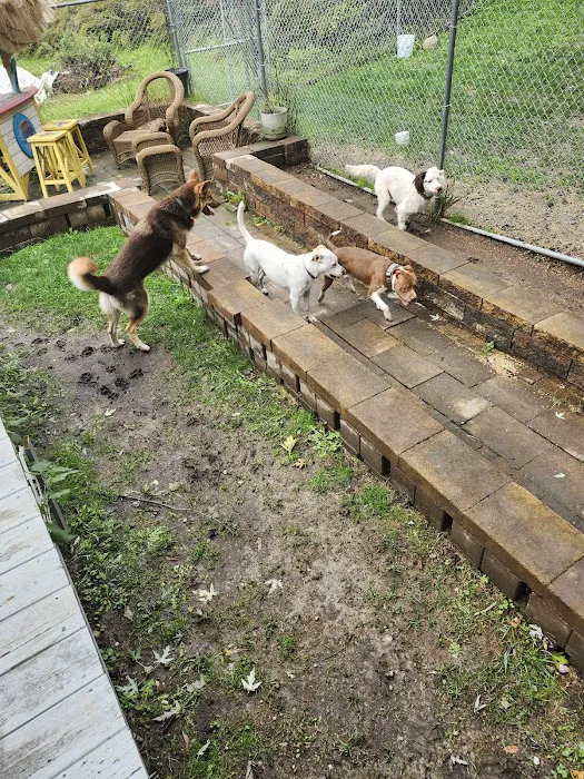 A Suburban Animal Center Picture 4