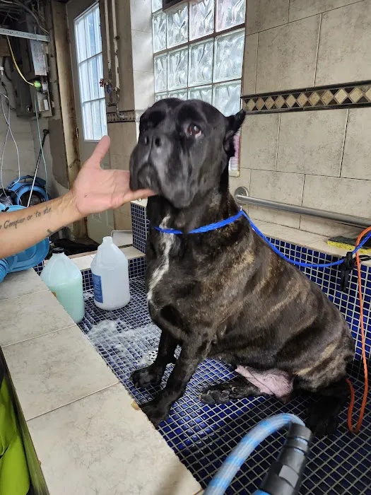 A Suburban Animal Center Picture 9