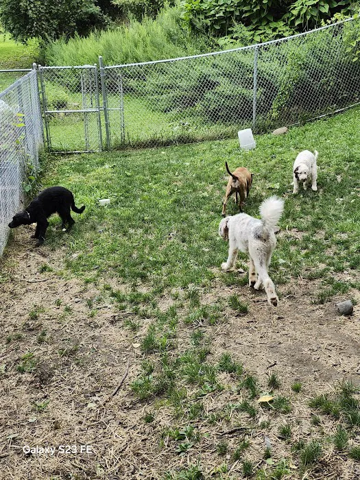 A Suburban Animal Center Picture 10