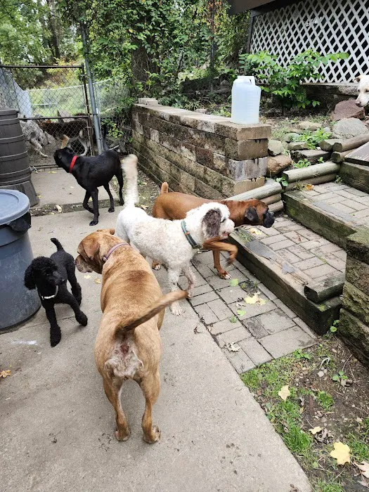 A Suburban Animal Center Picture 8