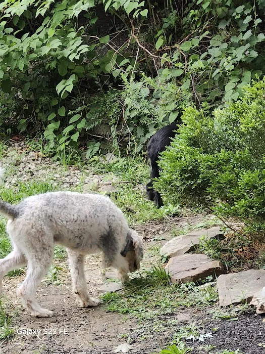 A Suburban Animal Center Picture 6