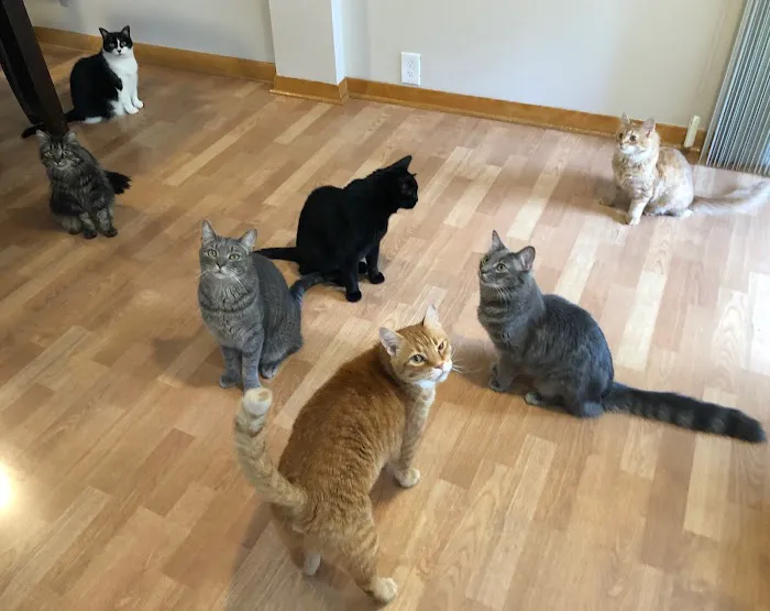 Wyoga Veterinary Hospital Picture 5