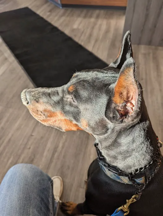 Wyoga Veterinary Hospital Picture 6