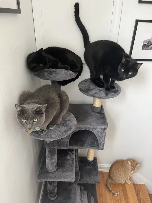 Wyoga Veterinary Hospital Picture 8