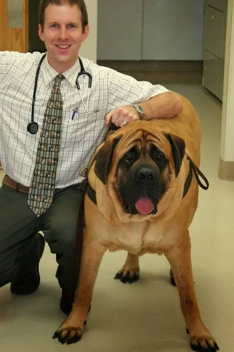 Cuyahoga Falls Veterinary Clinic: Gates Ryan G DVM Picture 4