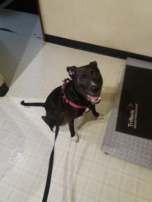 Maysville Animal Hospital Picture 1
