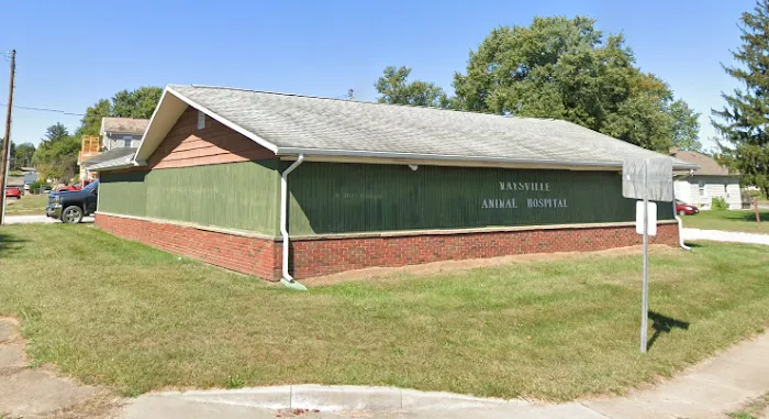 Maysville Animal Hospital Picture 8