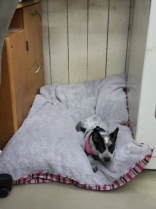 Maysville Animal Hospital Picture 9