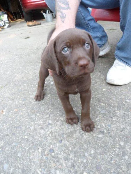 Maysville Animal Hospital Picture 2