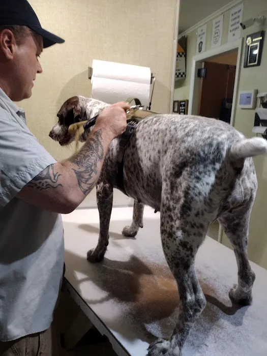 Maysville Animal Hospital Picture 6